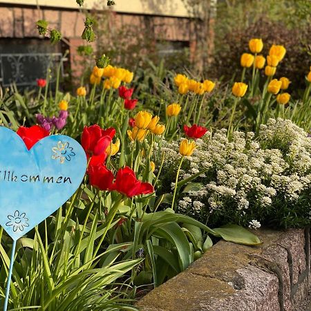 Ferienhaus Spreewald Luckau Zewnętrze zdjęcie